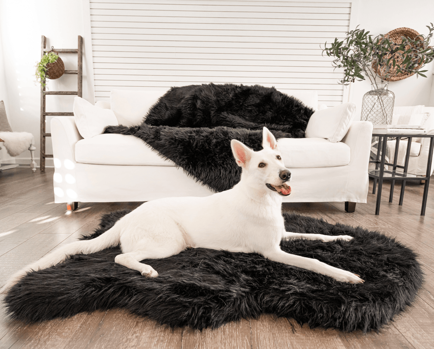 Faux Fur Orthopedic Dog Bed - Curve Midnight Black