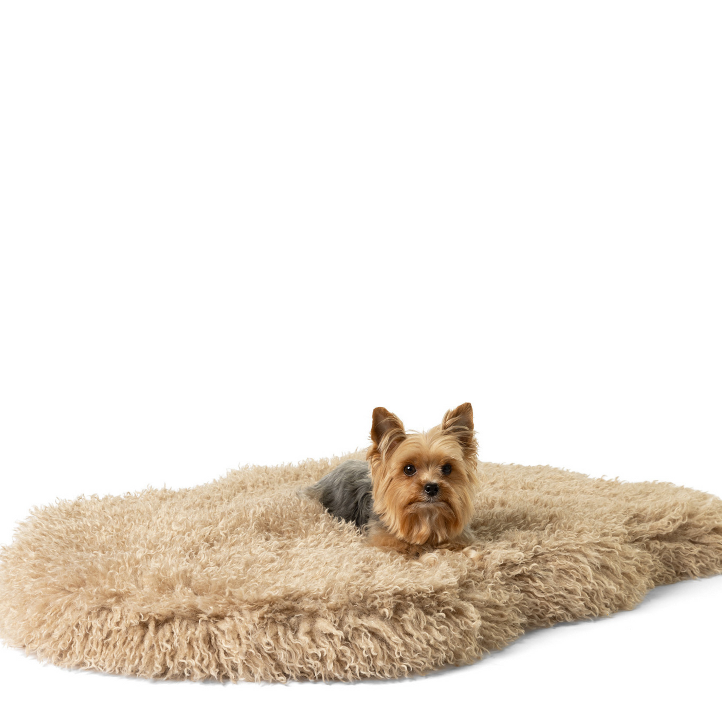 Luxe Faux Fur Orthopedic Dog Bed - Plush Sheep Tan