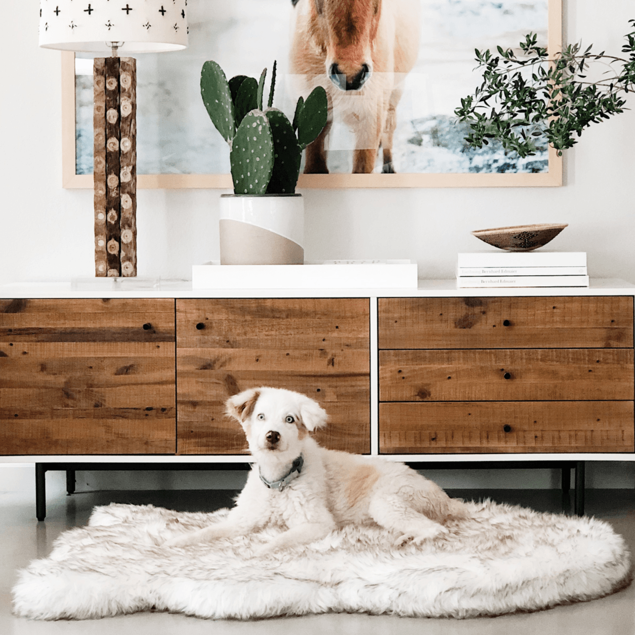 Faux Fur Orthopedic Dog Bed - Curve White with Brown Accents