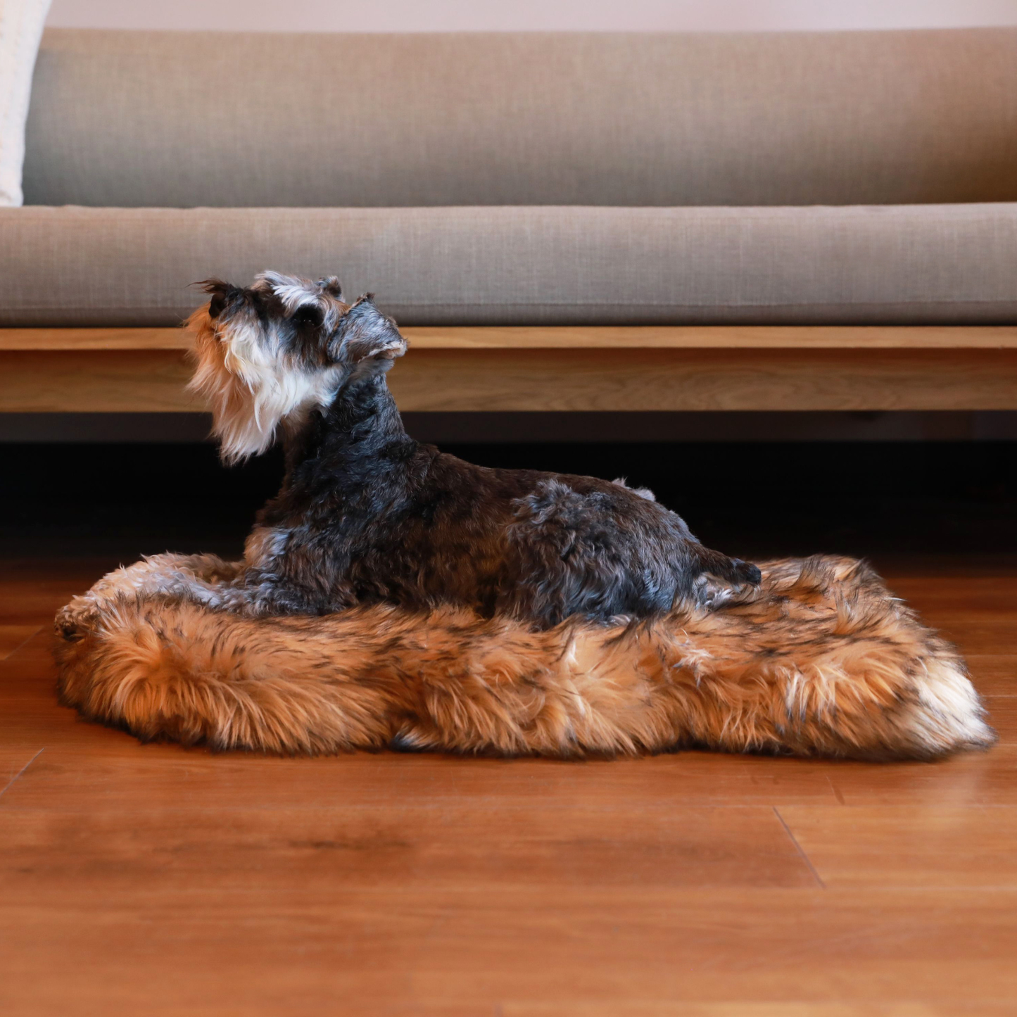 Faux Fur Orthopedic Dog Bed - Curve Sable Tan
