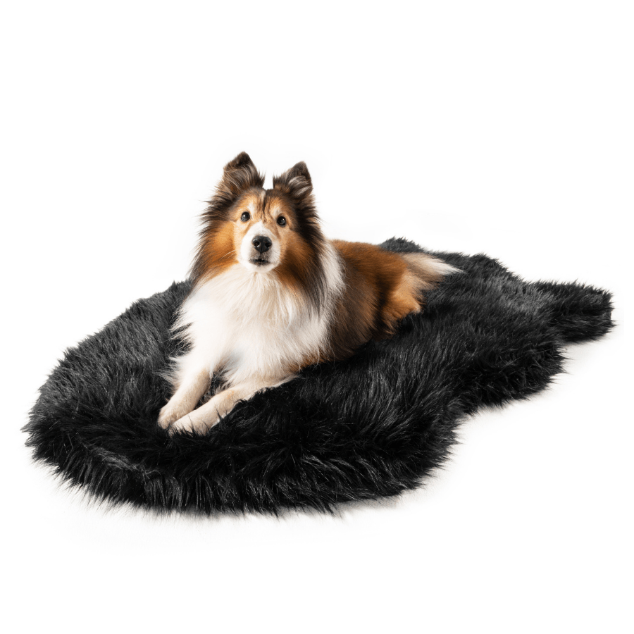 Faux Fur Orthopedic Dog Bed - Curve Midnight Black