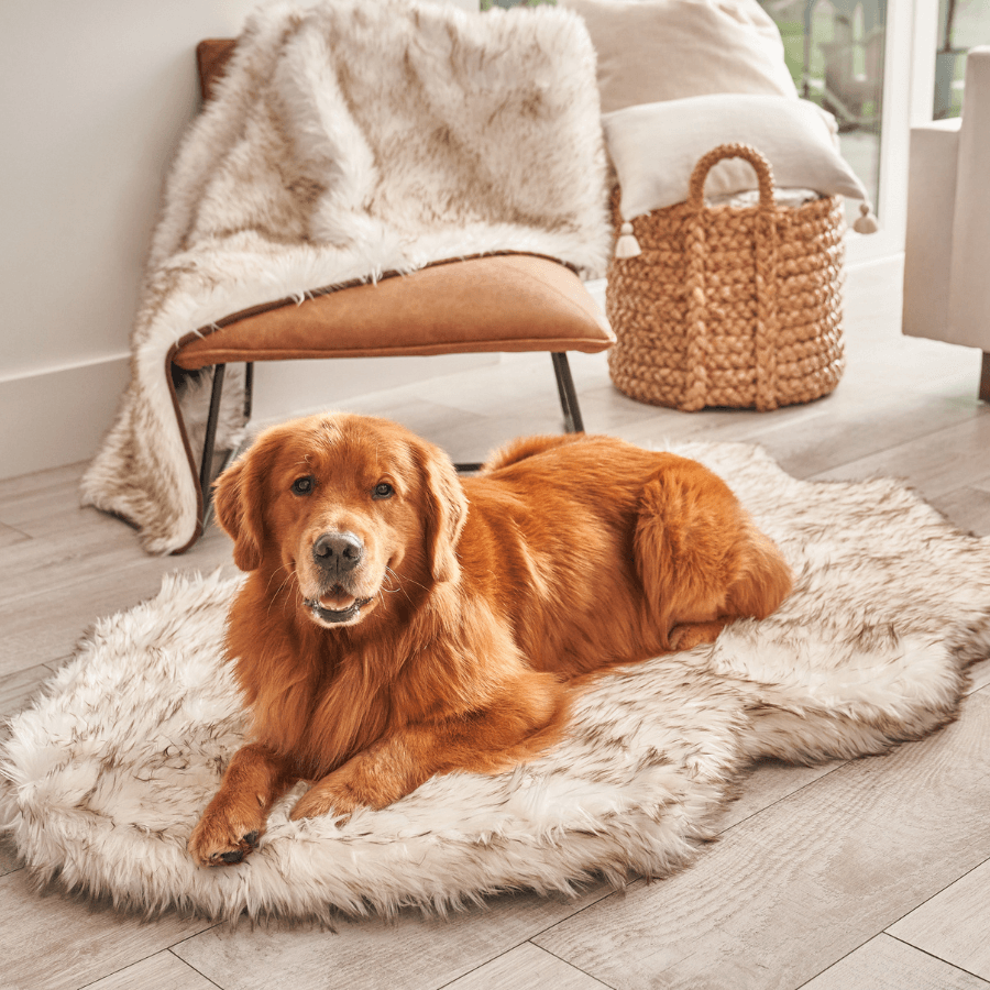 Faux Fur Orthopedic Dog Bed - Curve White with Brown Accents