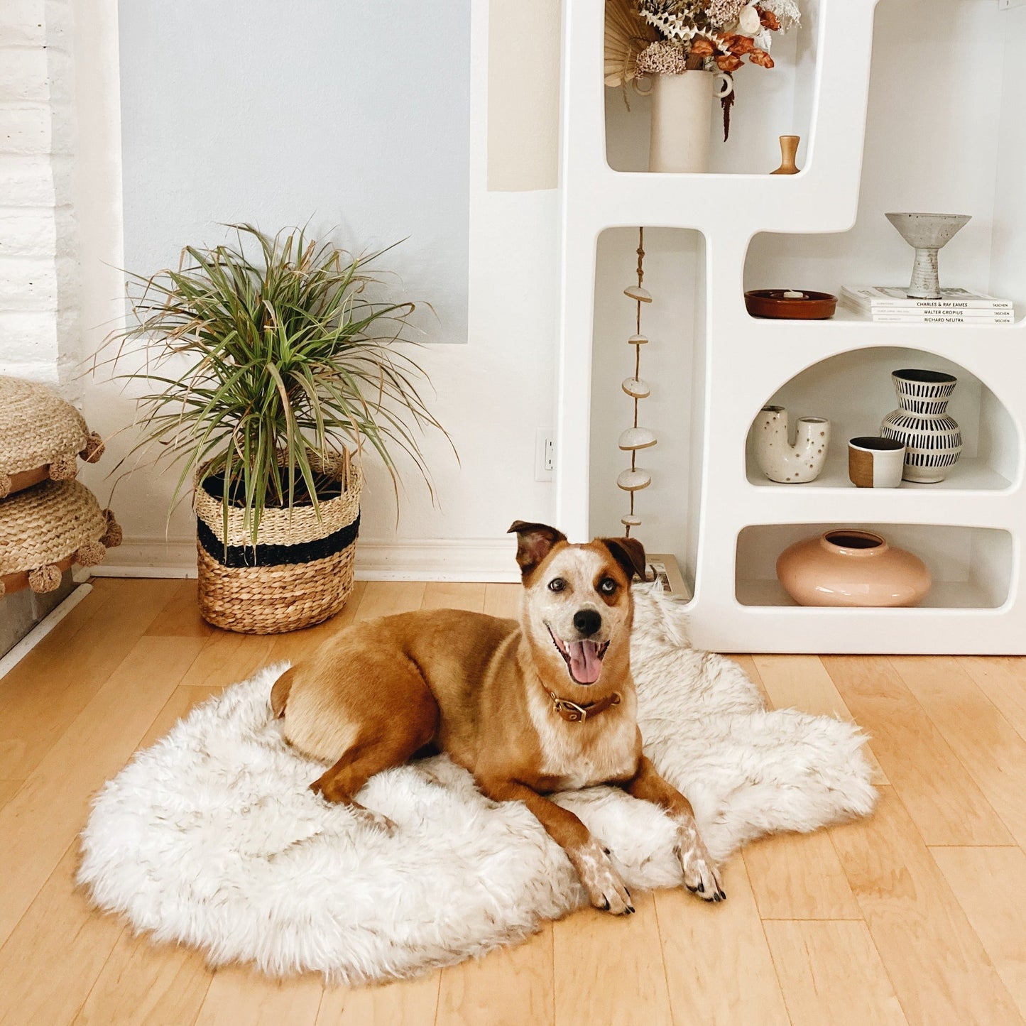 Faux Fur Orthopedic Dog Bed - Curve White with Brown Accents