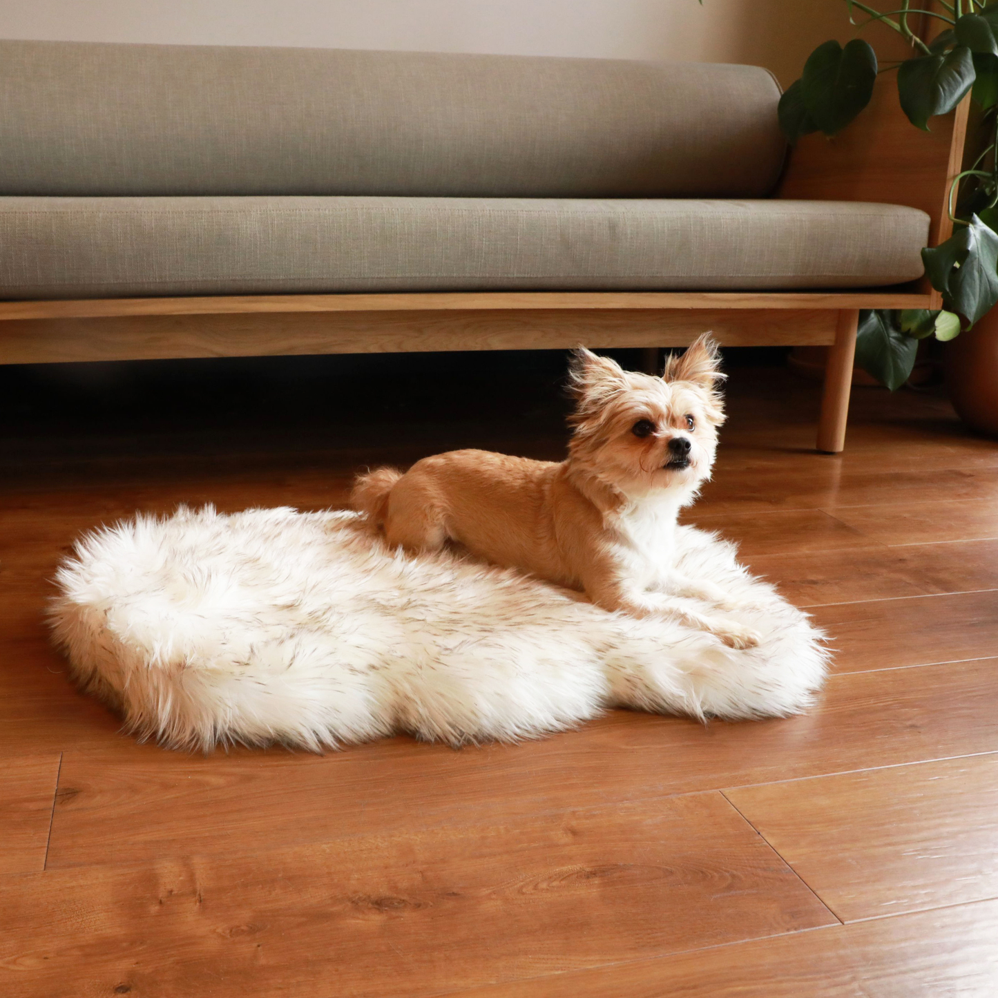 Faux Fur Orthopedic Dog Bed - Curve White with Brown Accents