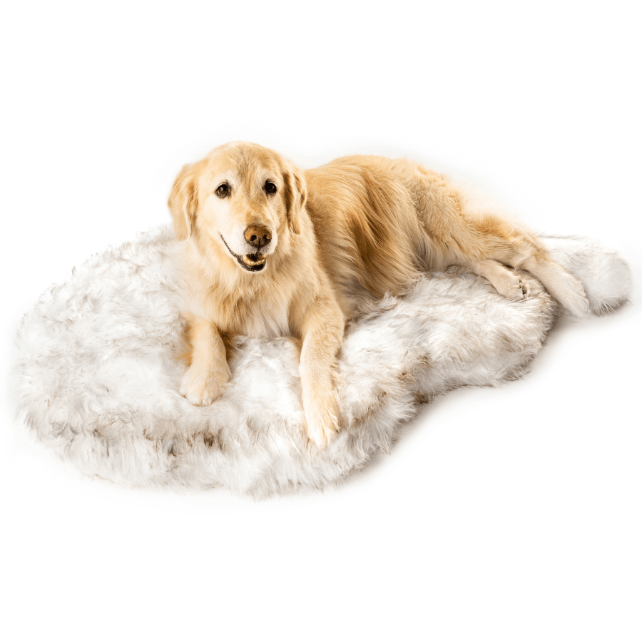 Faux Fur Orthopedic Dog Bed - Curve White with Brown Accents