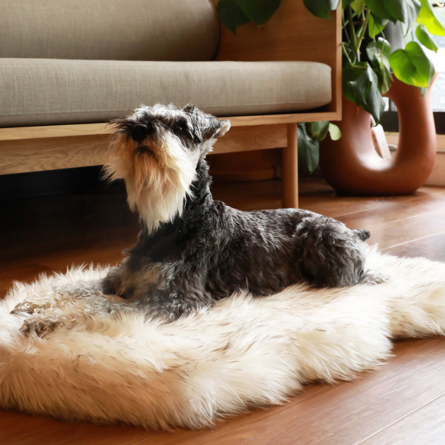 Faux Fur Orthopedic Dog Bed - Curve White with Brown Accents