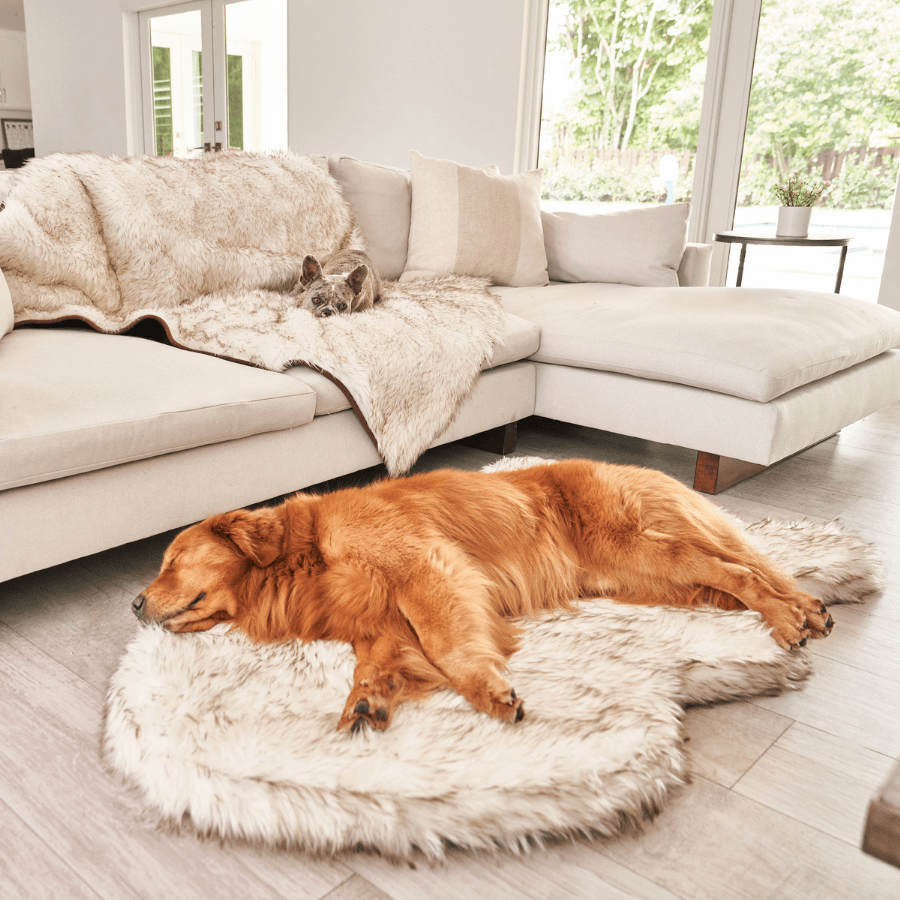 Faux Fur Orthopedic Dog Bed - Curve White with Brown Accents