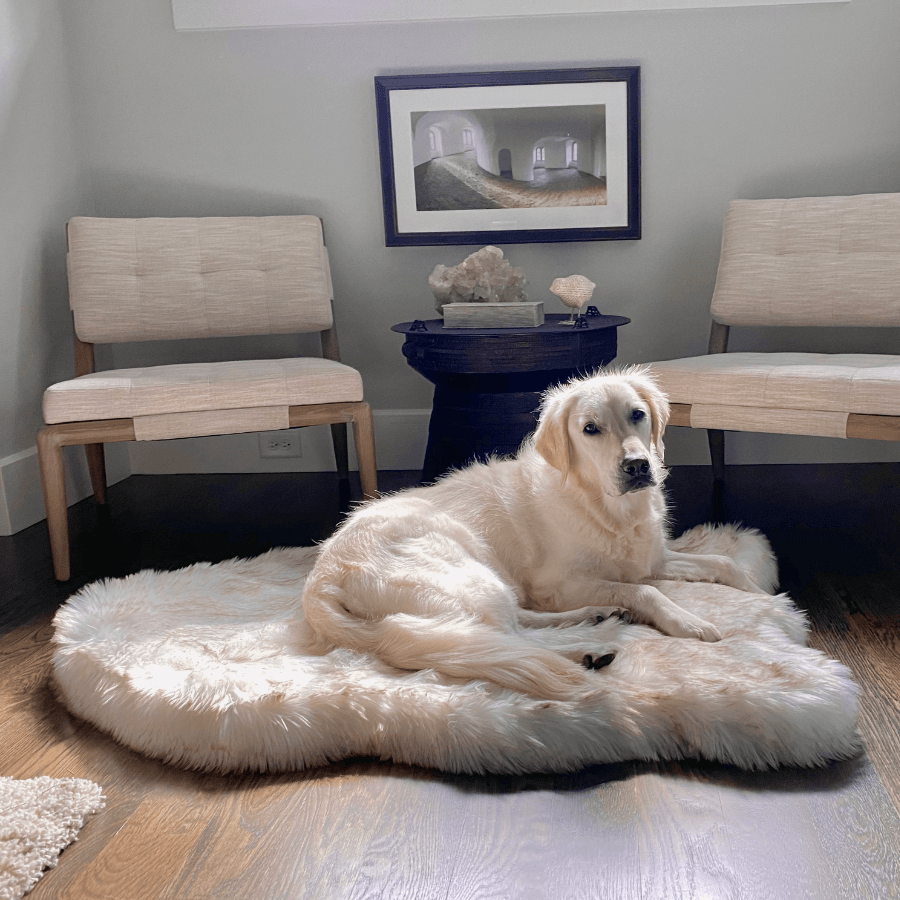 Faux Fur Orthopedic Dog Bed - Curve White with Brown Accents