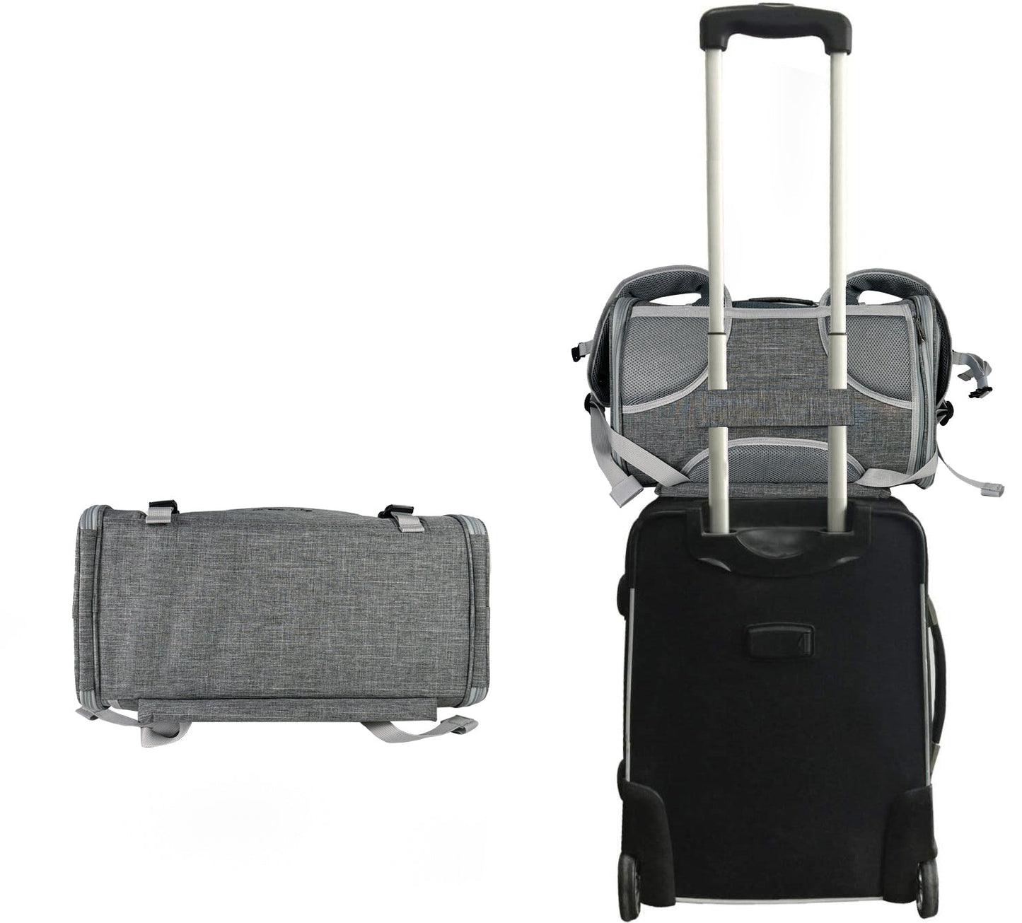 Monterey Series Backpack Pet Carrier - Newly Updated Model Now Available