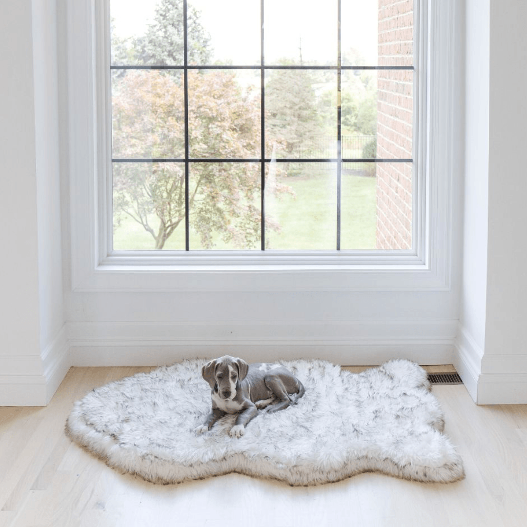 Faux Fur Orthopedic Dog Bed - Curve White with Brown Accents