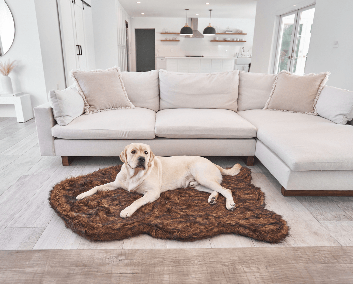 Faux Fur Orthopedic Dog Bed - Curve Brown