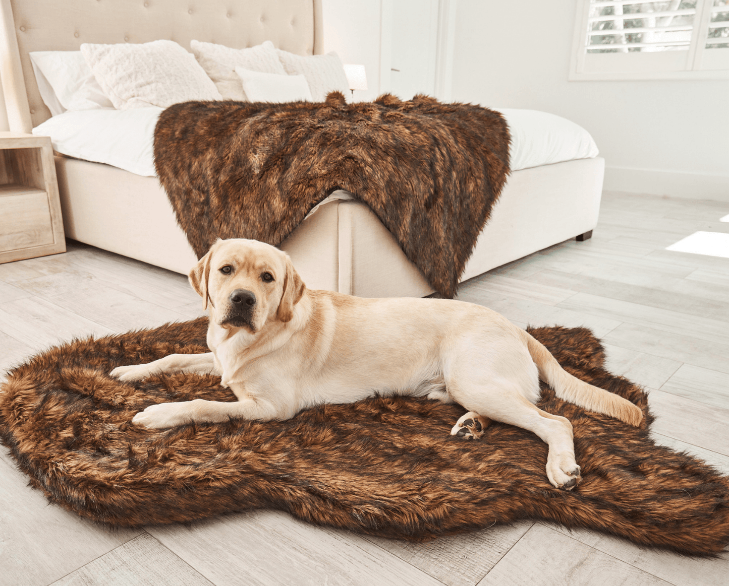 Faux Fur Orthopedic Dog Bed - Curve Brown