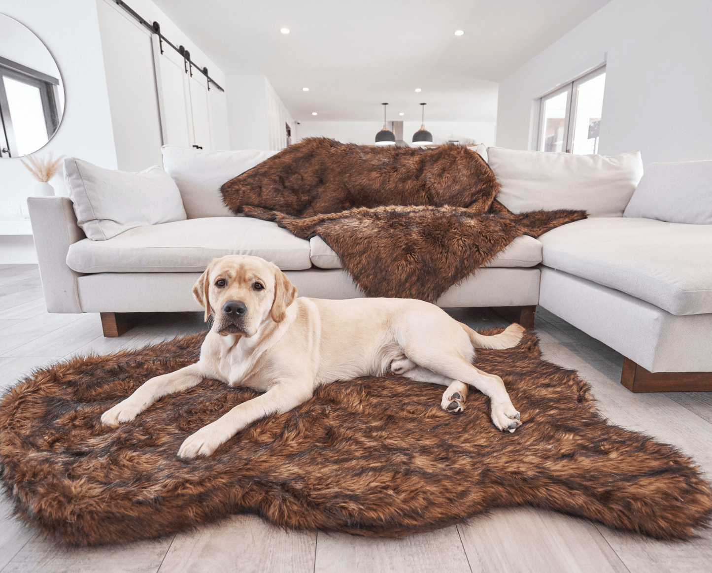 Faux Fur Orthopedic Dog Bed - Curve Brown