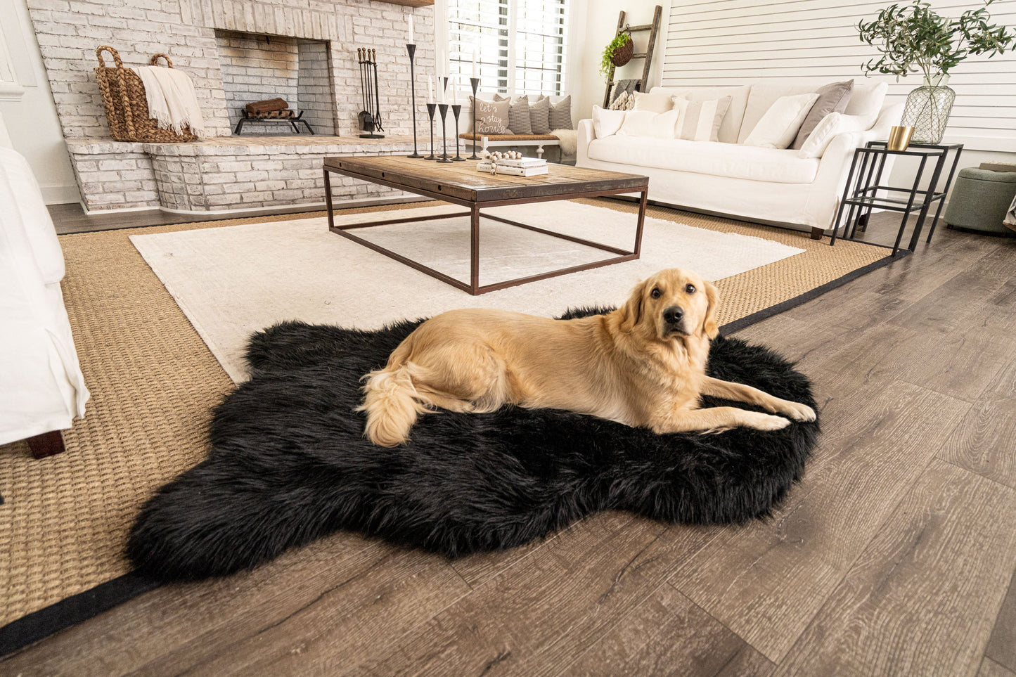 Faux Fur Orthopedic Dog Bed - Curve Midnight Black