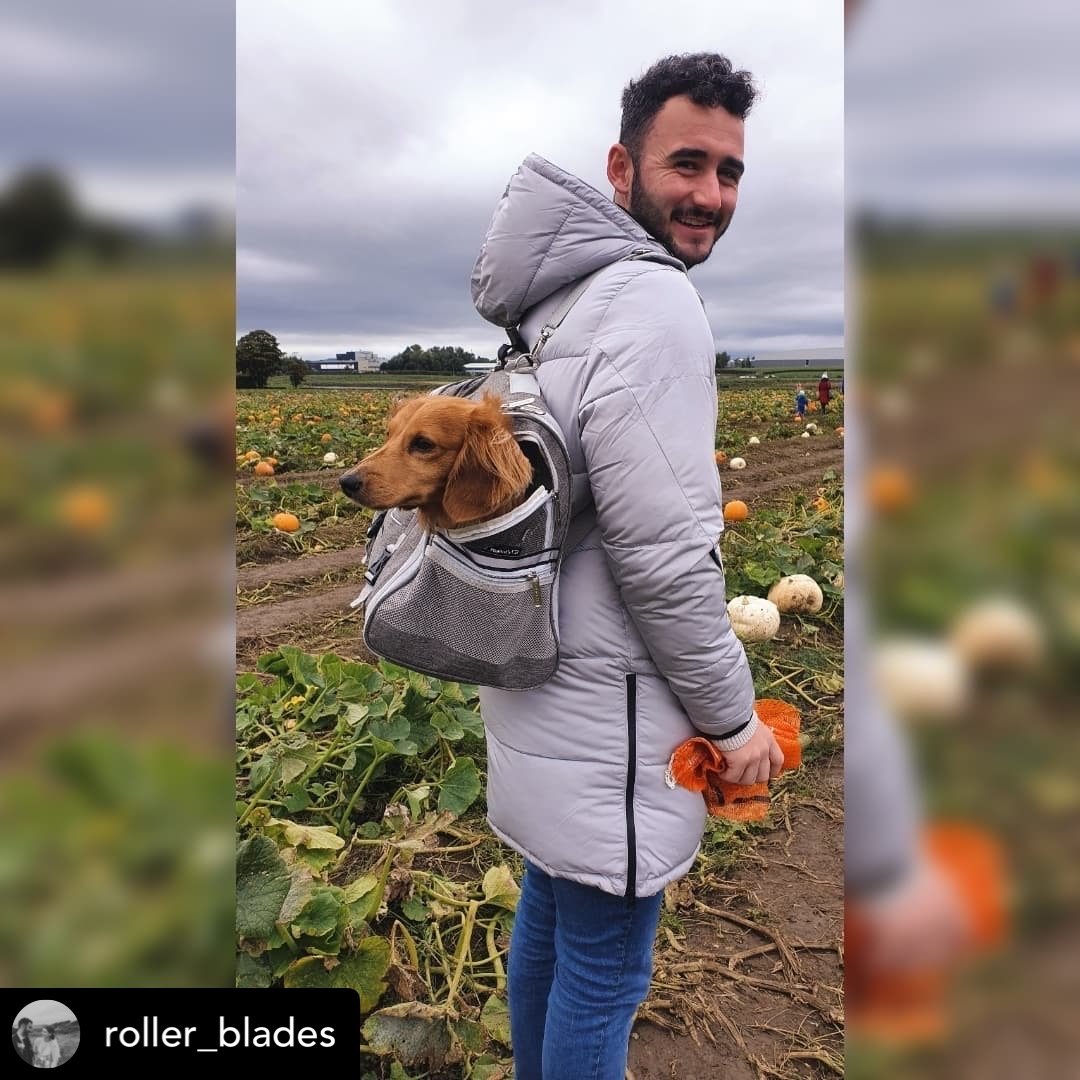 Monterey Series Backpack Pet Carrier - Newly Updated Model Now Available