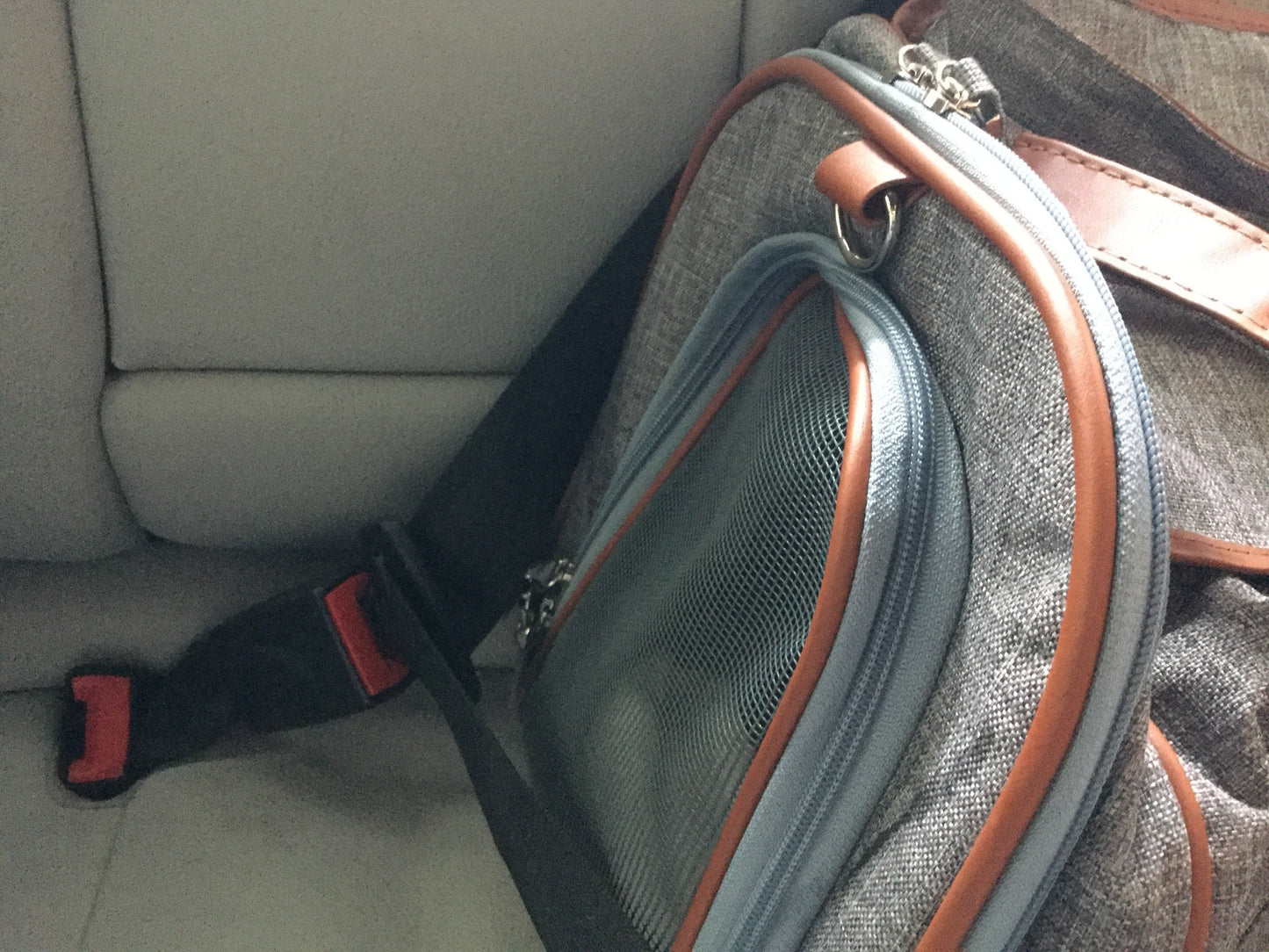 Gold Series Big Apple XL Size Airline Compliant Expandable Pet Carrier