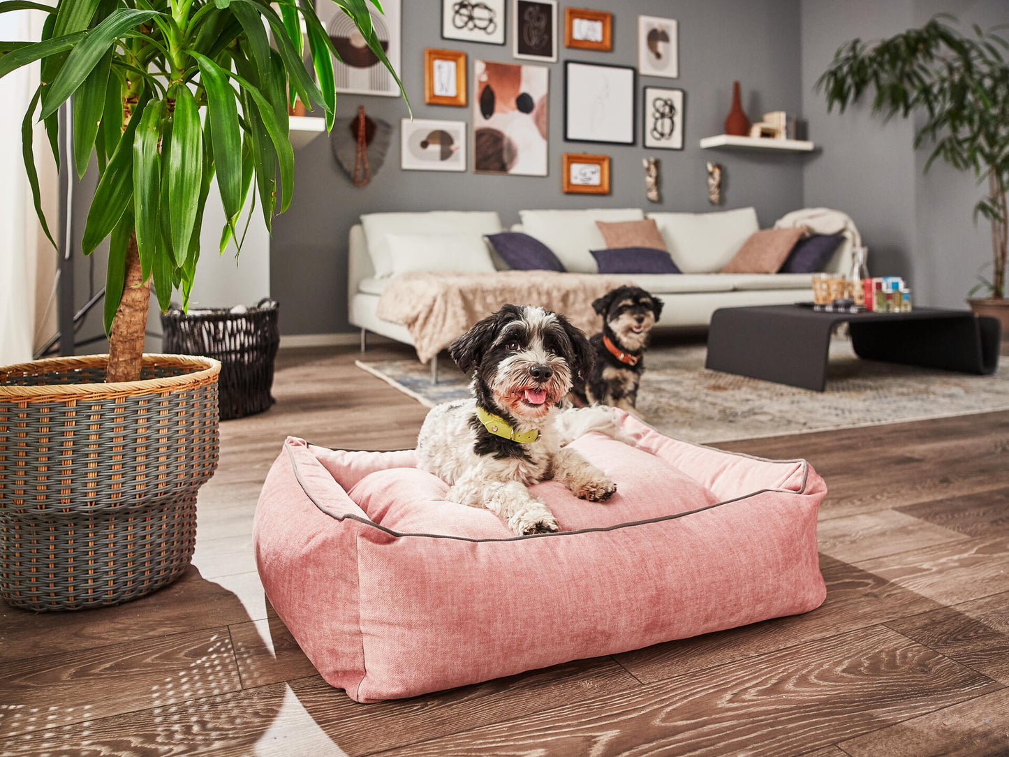 Orthopaedic Dog Bed Glam
