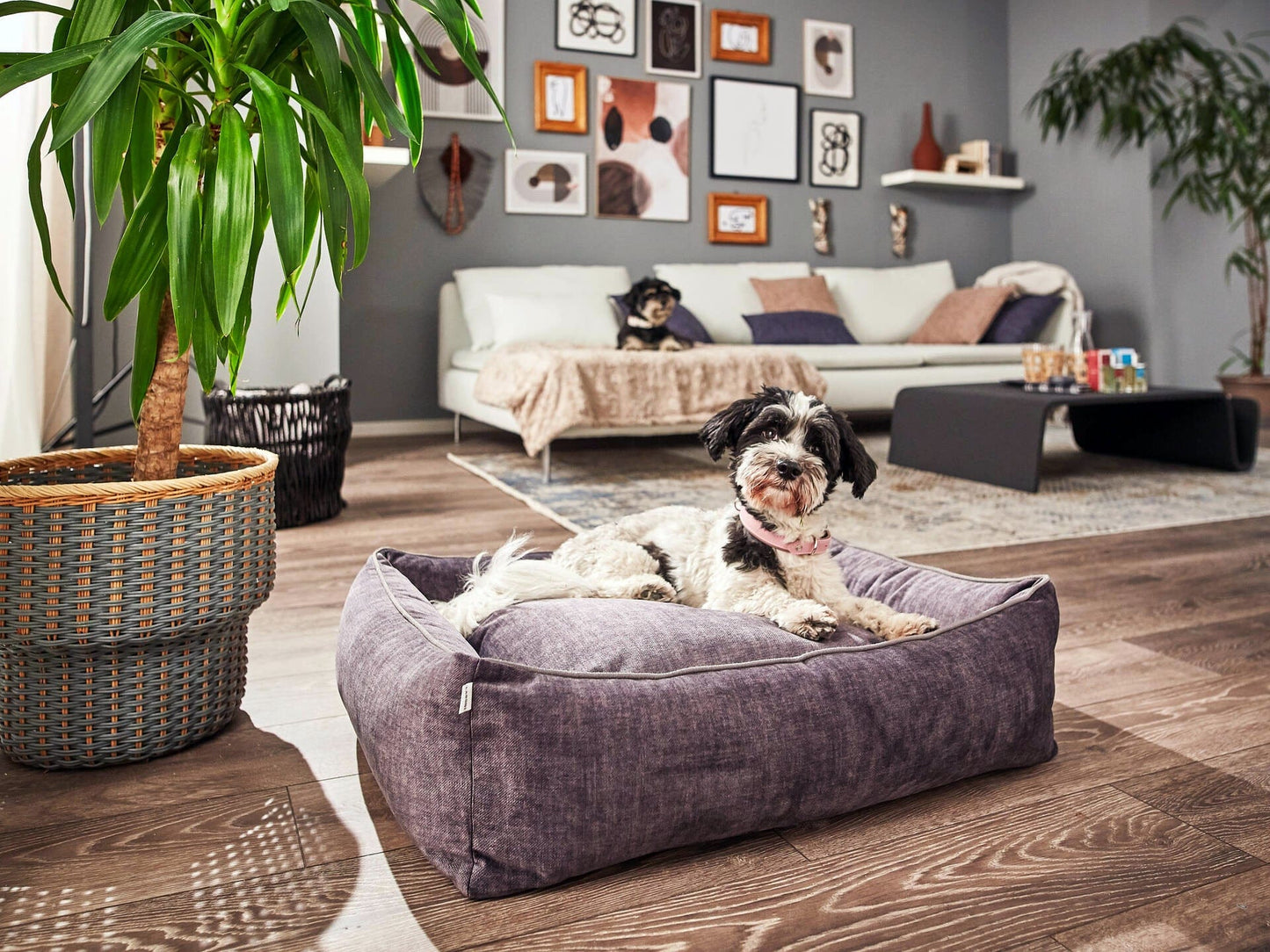 Orthopaedic Dog Bed Glam