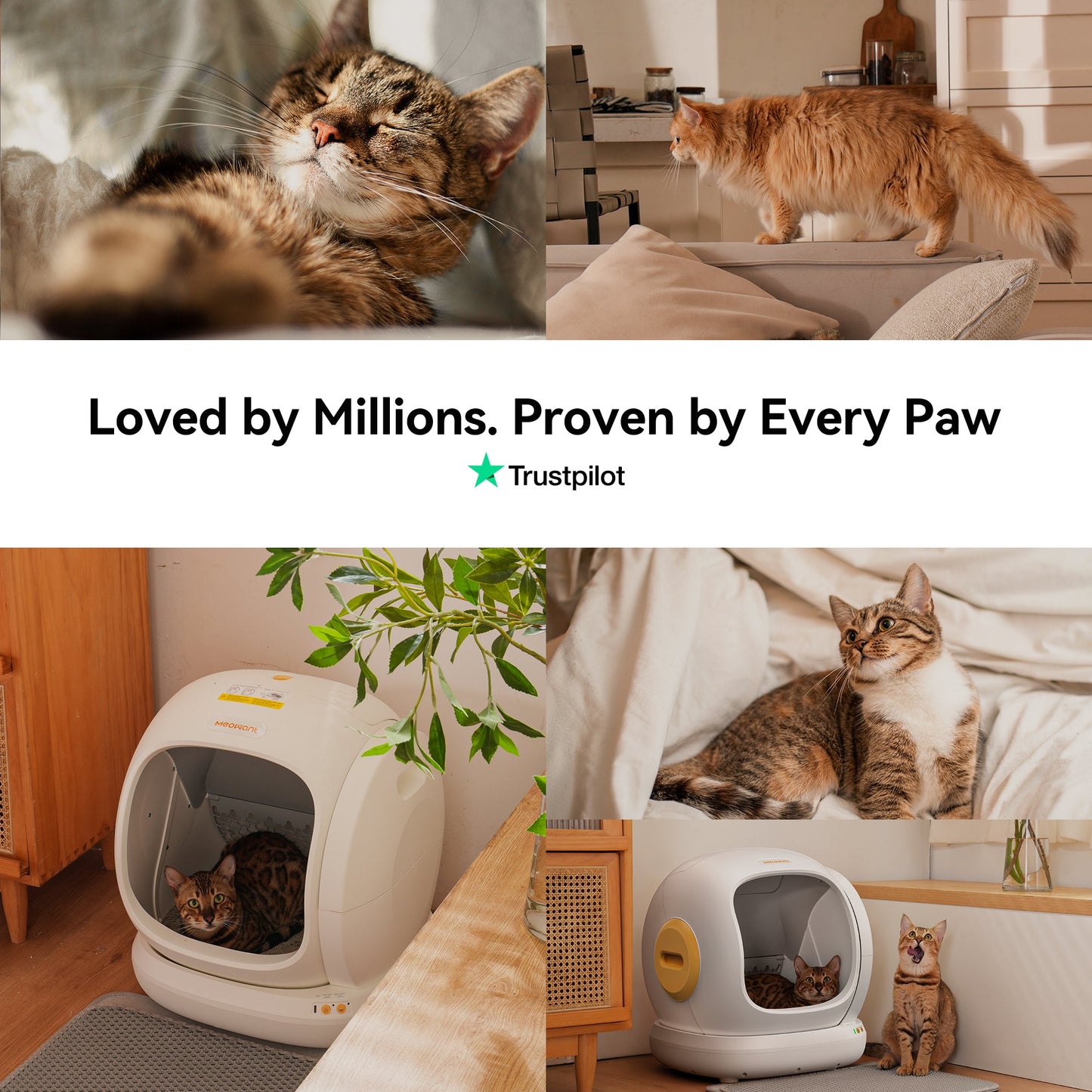 Self-Cleaning Cat Litter Box - MW-SC02