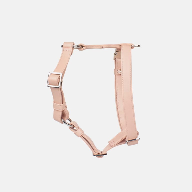 Vegan Leather Dog Harness Walk Set
