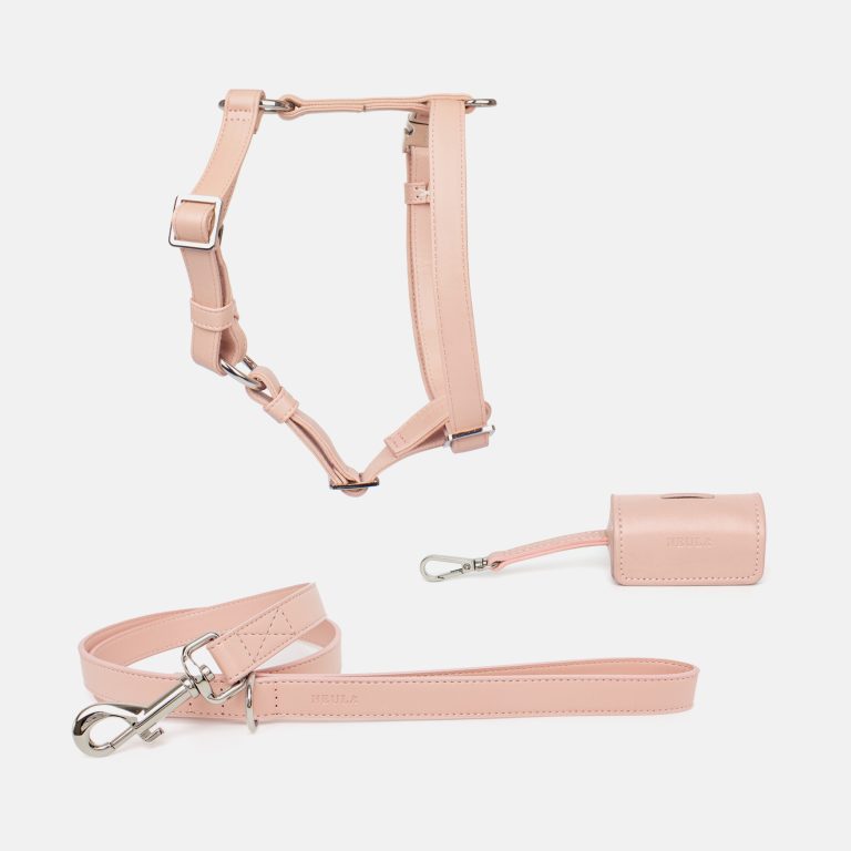 Vegan Leather Dog Harness Walk Set