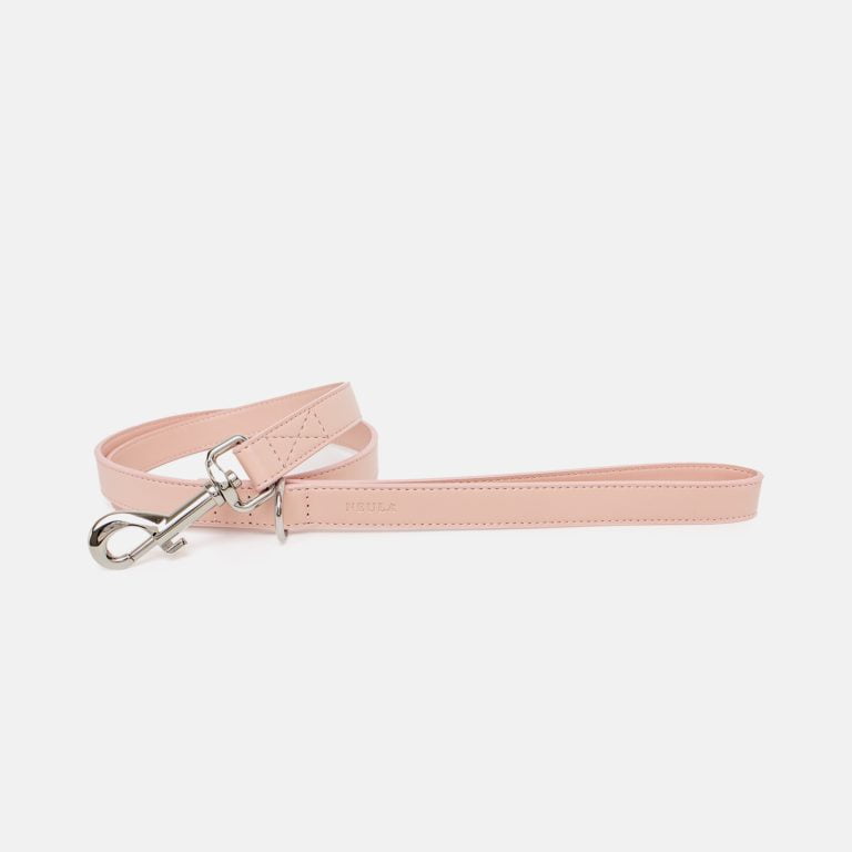 Vegan Leather Dog Harness Walk Set