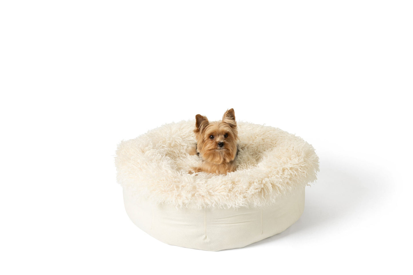 Luxe Faux Fur Donut Dog Bed - Plush Sheep Ivory