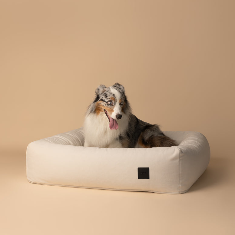 Villa Dog Bed DREAM Velvet