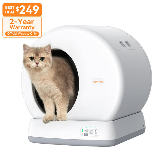 Self-Cleaning Cat Litter Box - MW-SC01 (Gray&Yellow)