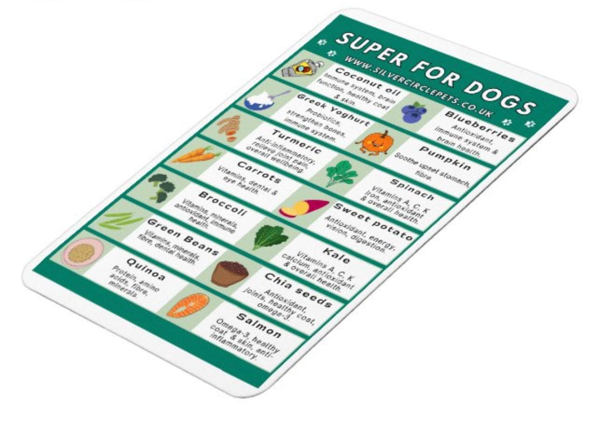 Super Foods for Dogs Fridge Magnet | Free Delivery