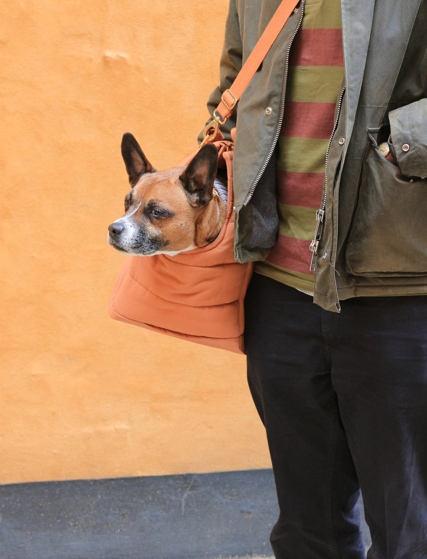 Rio Dog Carrier Bag