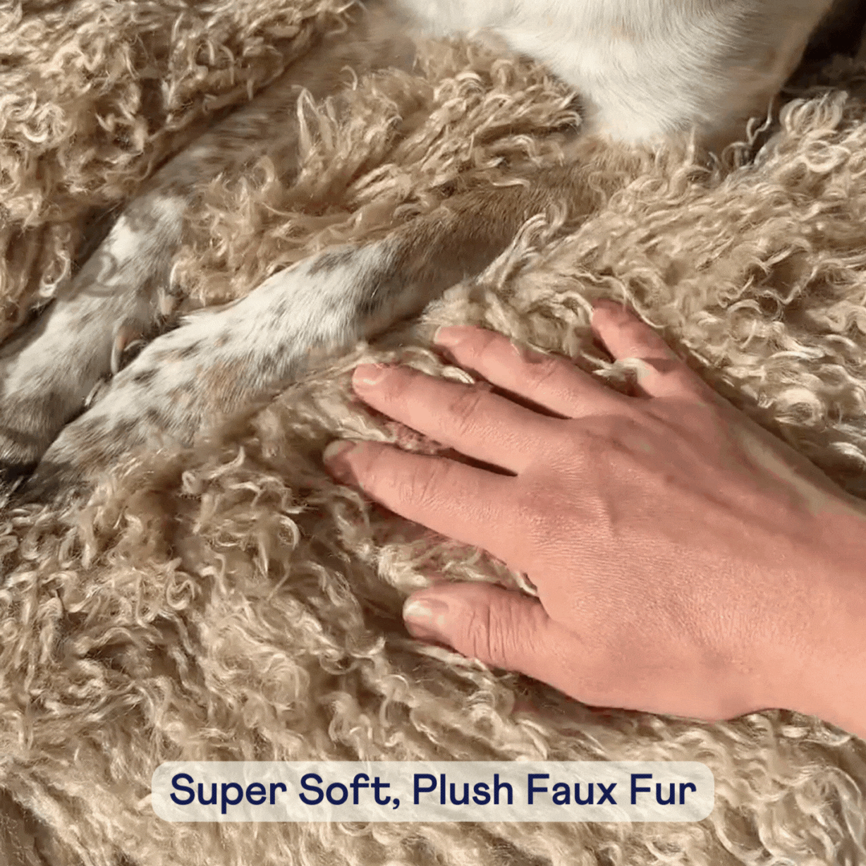 Luxe Faux Fur Orthopedic Dog Bed -  Plush Sheep Tan