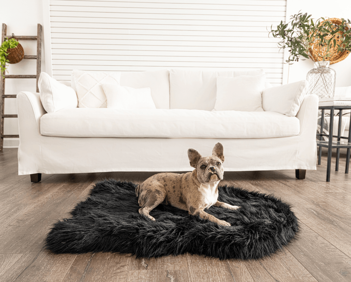 Faux Fur Orthopedic Dog Bed - Curve Midnight Black