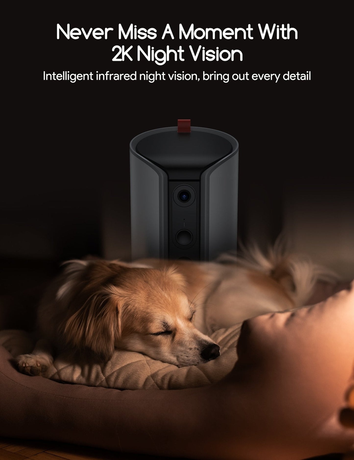 Dog Treat Dispenser with 2K Camera