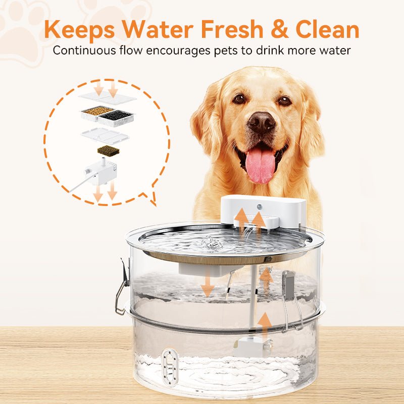 Stainless Steel Dog Water Fountain-DF01
