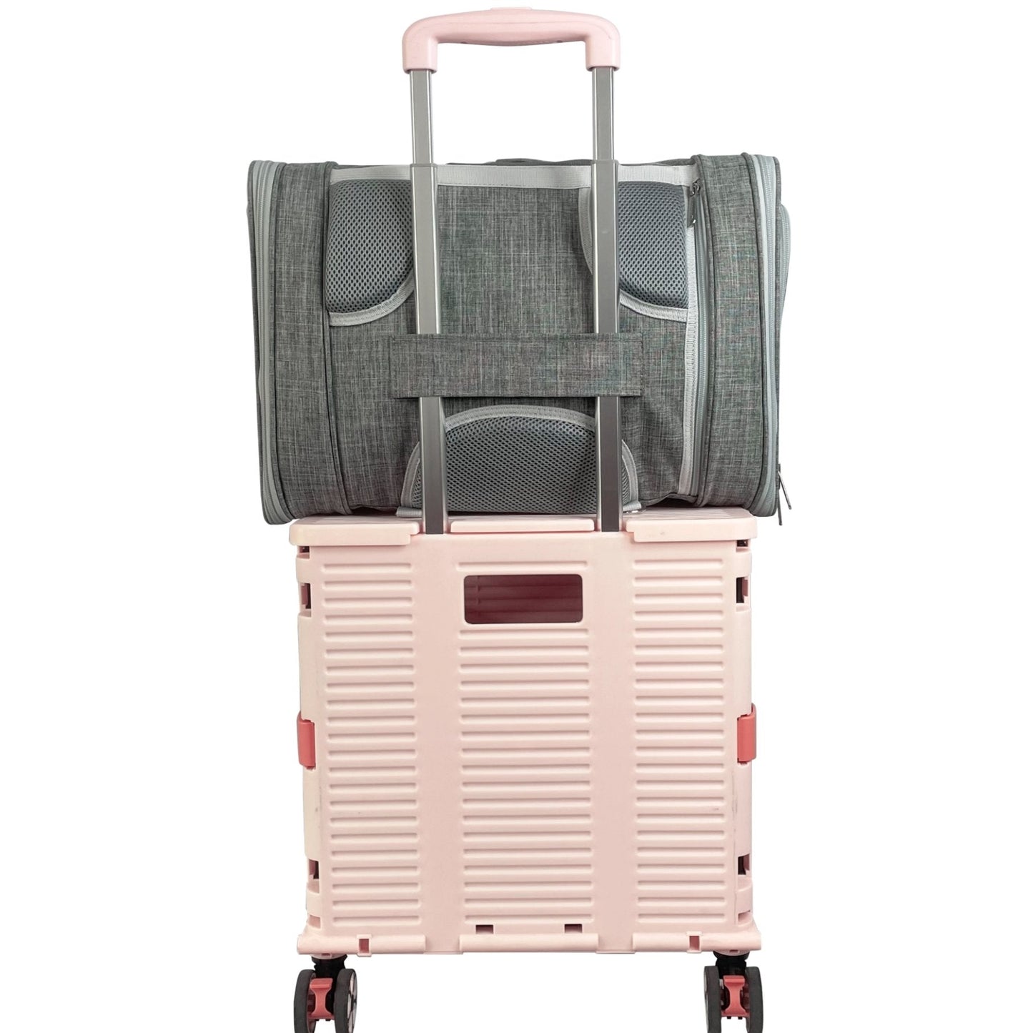 Monterey Series Backpack Pet Carrier - Newly Updated Model Now Available