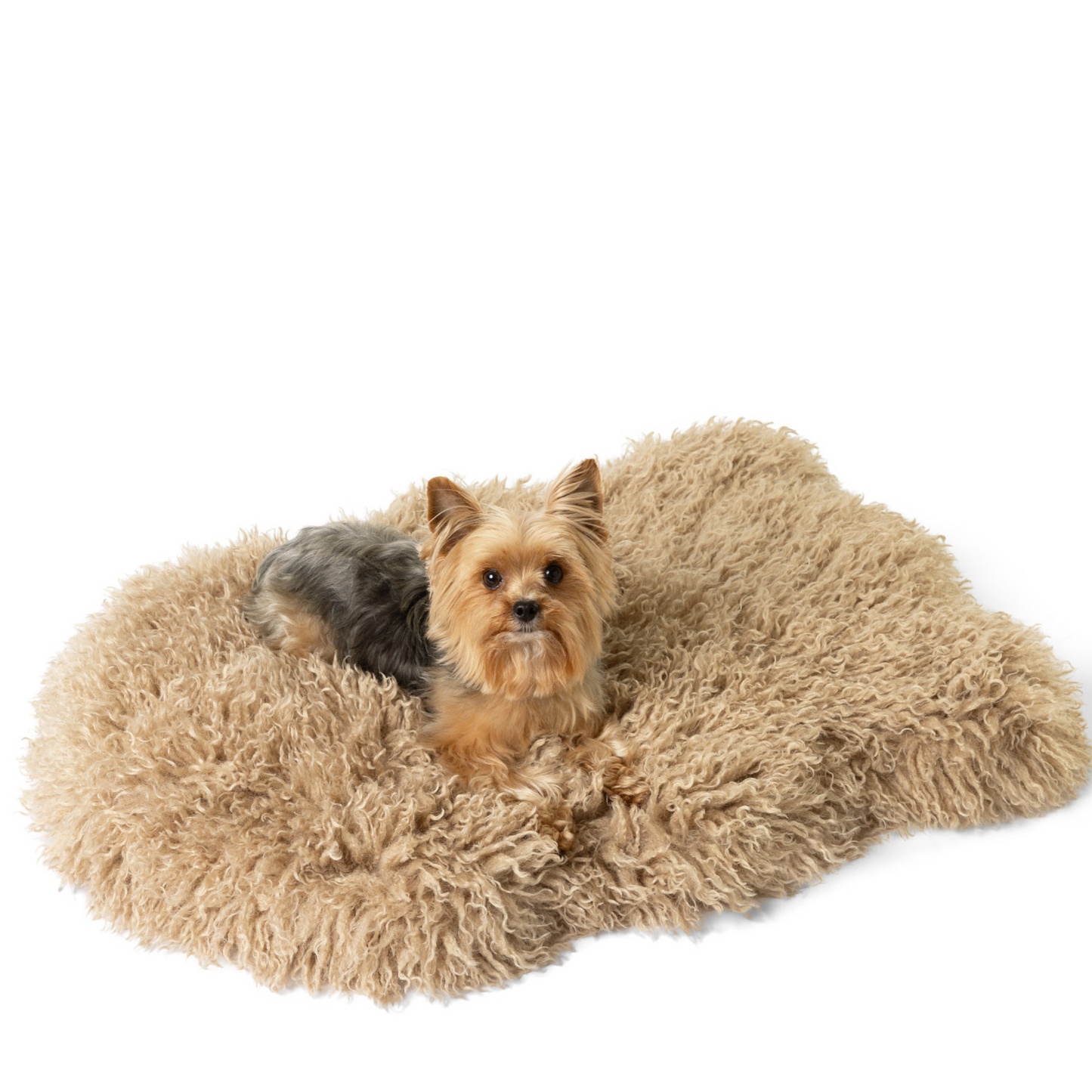 Luxe Faux Fur Orthopedic Dog Bed -  Plush Sheep Tan