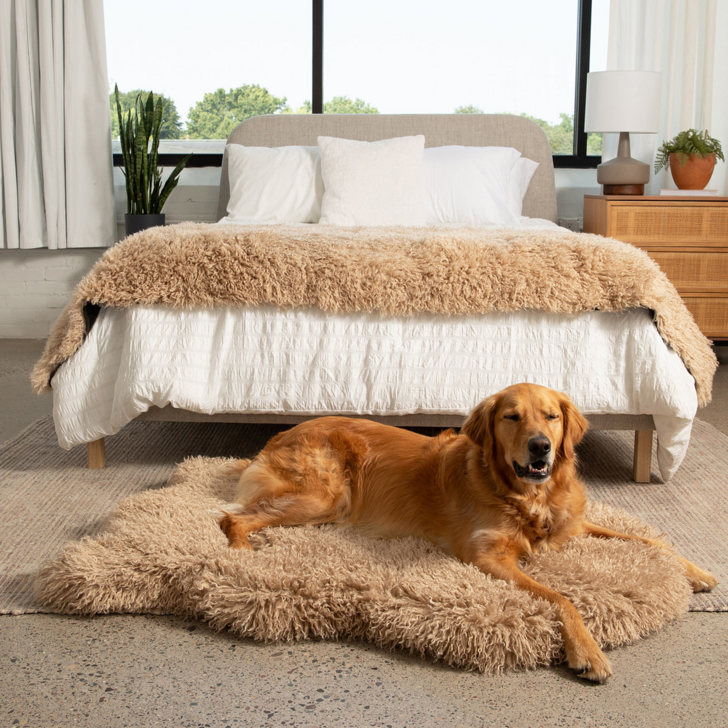 Luxe Faux Fur Orthopedic Dog Bed -  Plush Sheep Tan