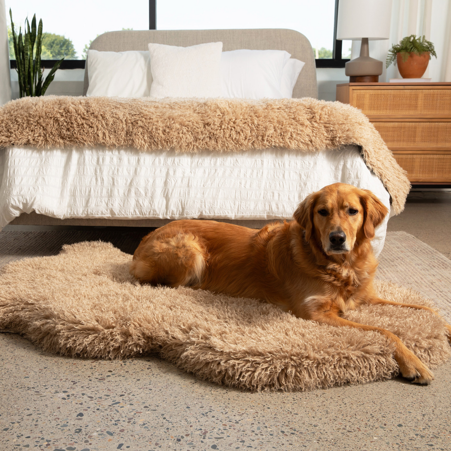 Luxe Faux Fur Orthopedic Dog Bed -  Plush Sheep Tan
