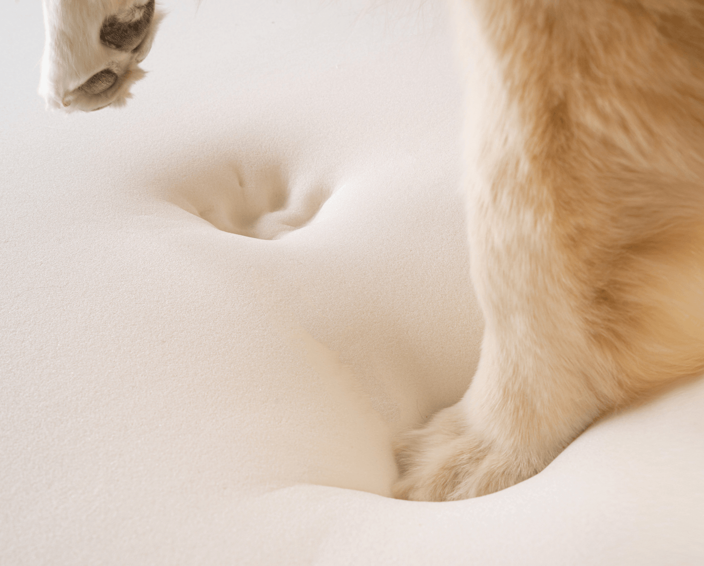 Faux Fur Orthopedic Dog Bed - Curve Sable Tan