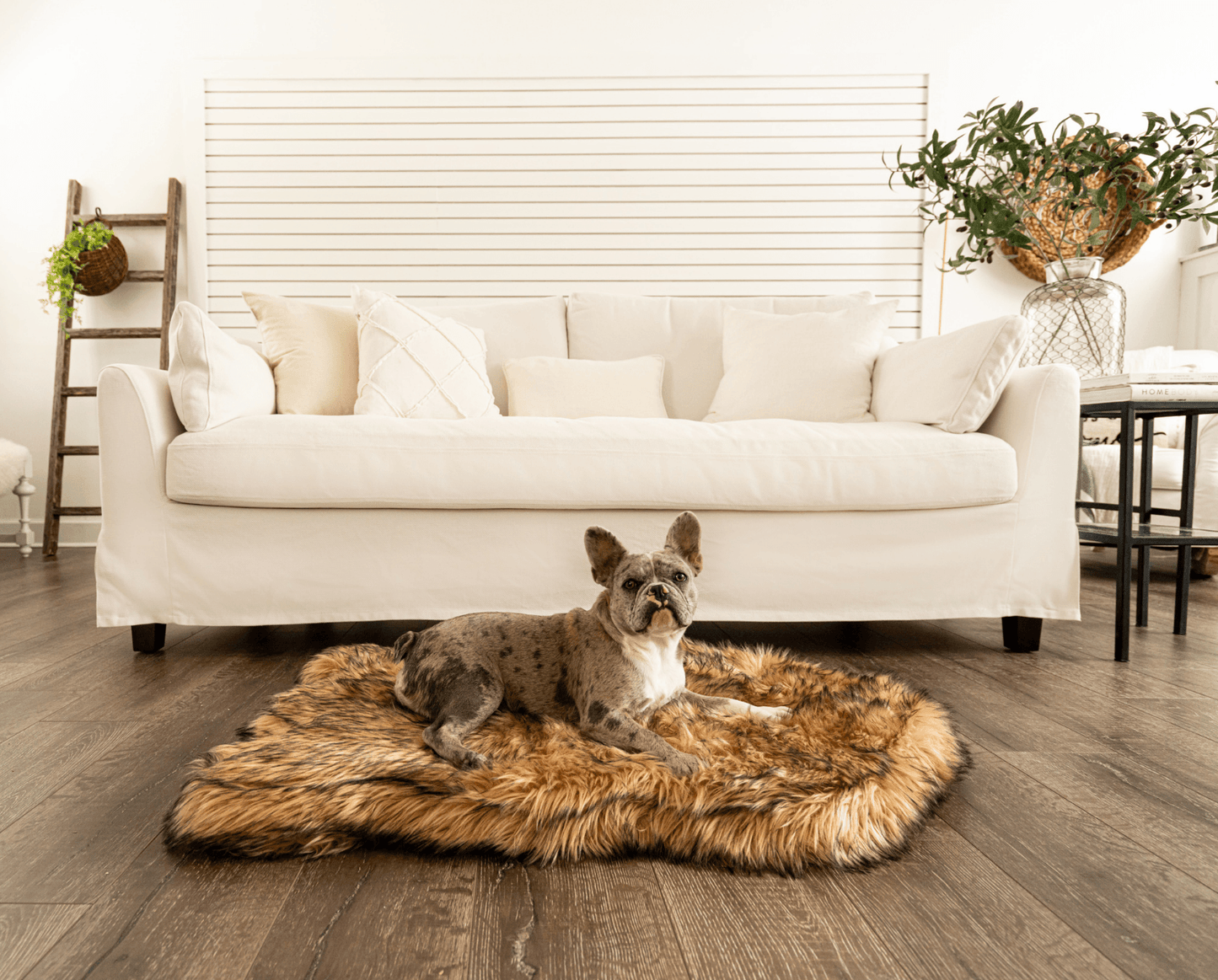 Faux Fur Orthopedic Dog Bed - Curve Sable Tan