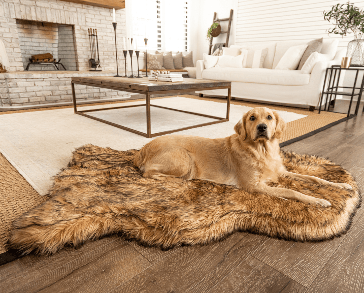 Faux Fur Orthopedic Dog Bed - Curve Sable Tan