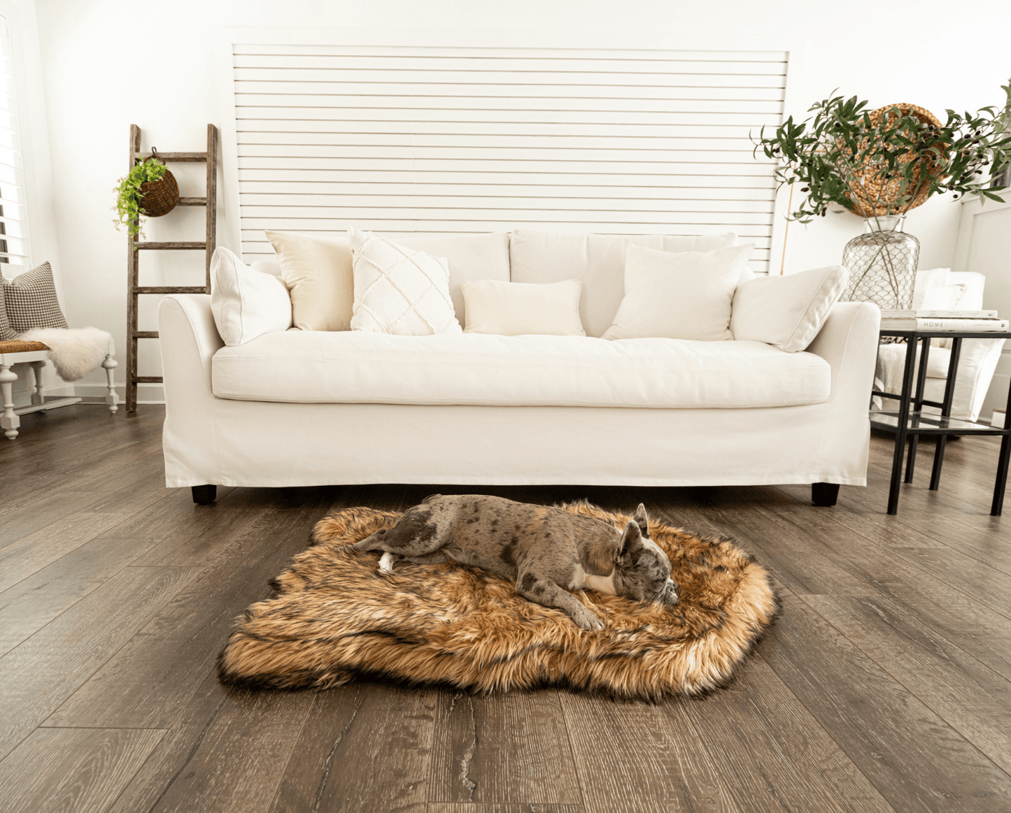 Faux Fur Orthopedic Dog Bed - Curve Sable Tan