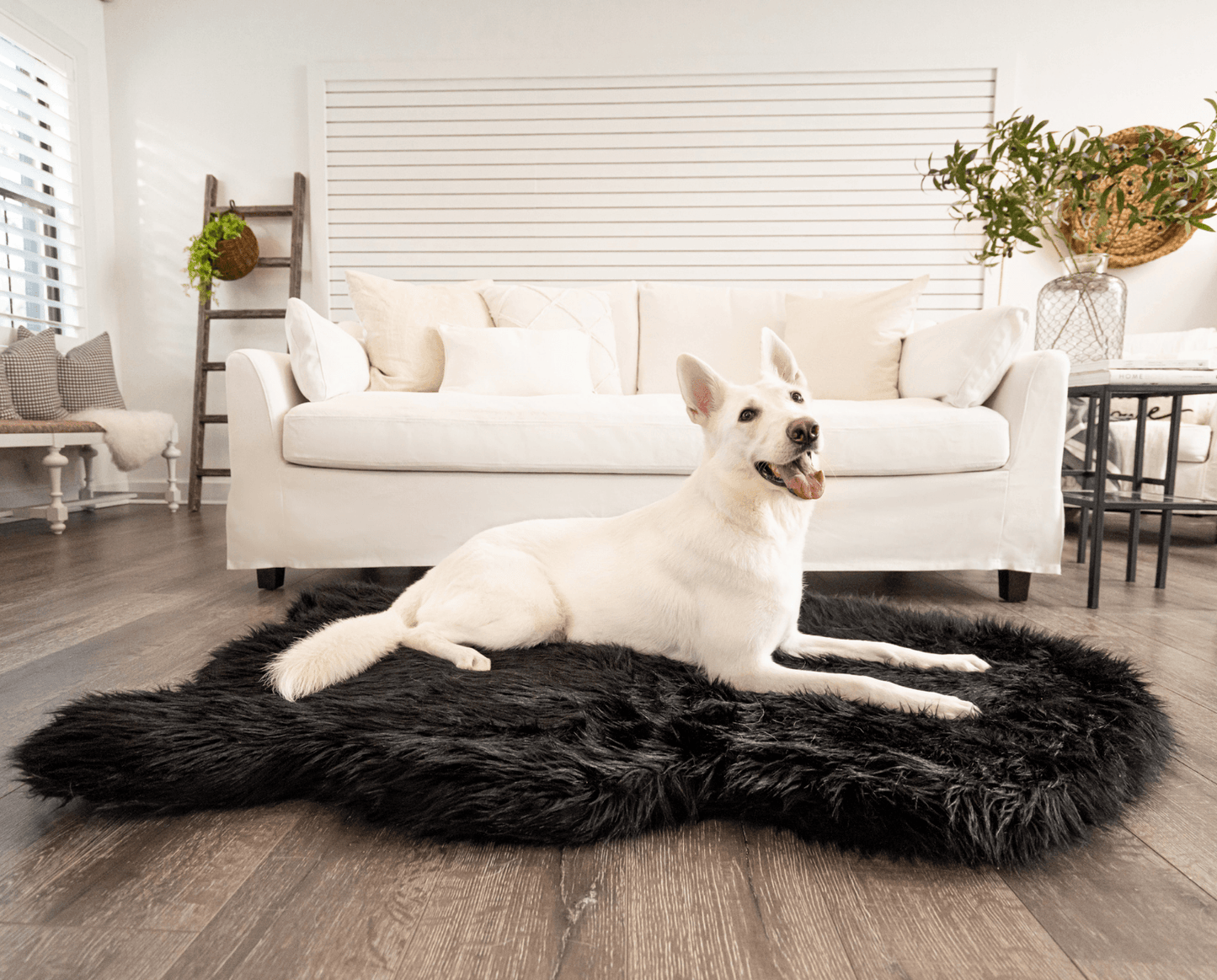 Faux Fur Orthopedic Dog Bed - Curve Midnight Black